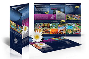 Brochures